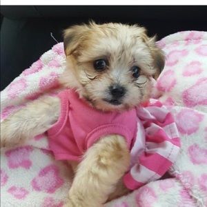 Meet your Posher, Karla